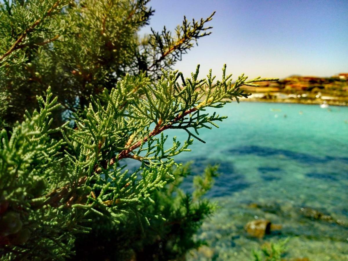 Le Stanze Del Mare * Golfo Aranci